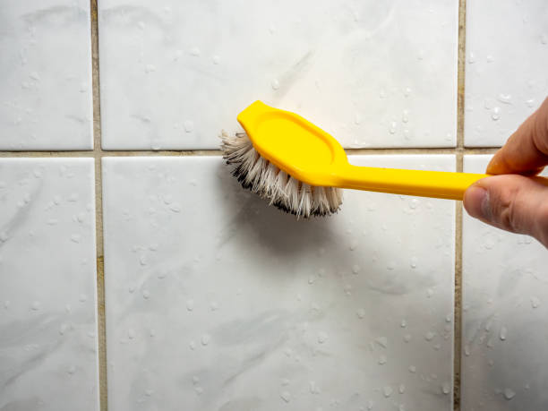 Best Mold Cleaning Services  in Oak Ridge, FL