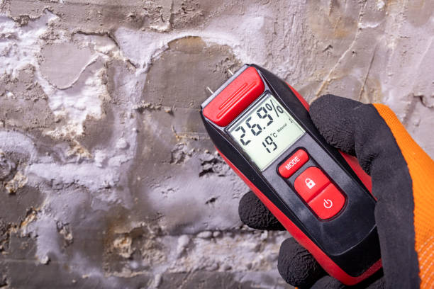 Oak Ridge, FL Mold Removal Company