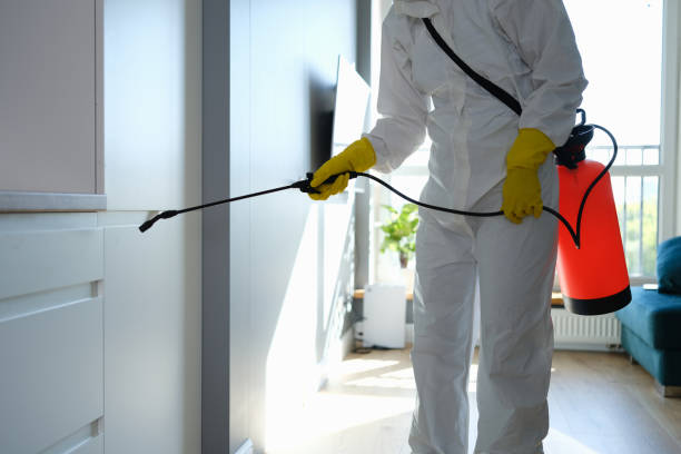 Best Same-Day Mold Removal  in Oak Ridge, FL
