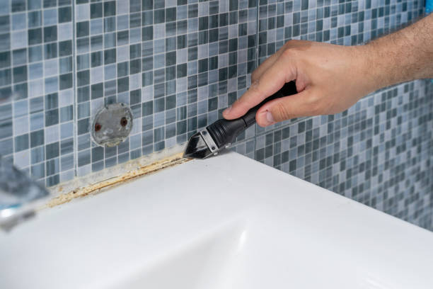 Best Local Mold Removal Service  in Oak Ridge, FL